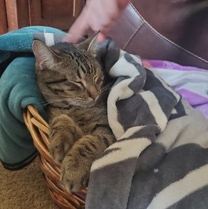 Meet your Posher, Jaelynn